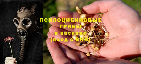 герыч Осинники